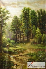 A stream in the forest