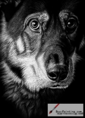 Custom Drawing-The Dog with dark background
