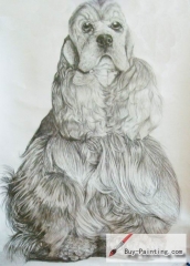 Custom Drawing-A long hair dog