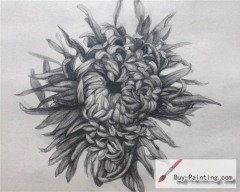 Custom Drawing-Chrysanthemum