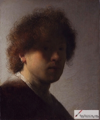 A young Rembrandt, c. 1628