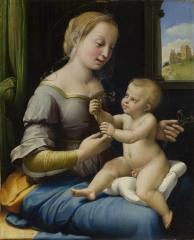 The Madonna of the Pinks, c. 1506–7
