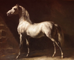 White Arabian Horse, before 1824