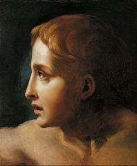Study of the Head of a Youth