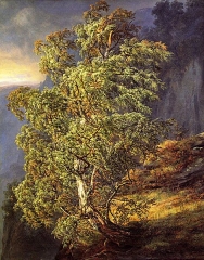 Bjerk i storm (1836)